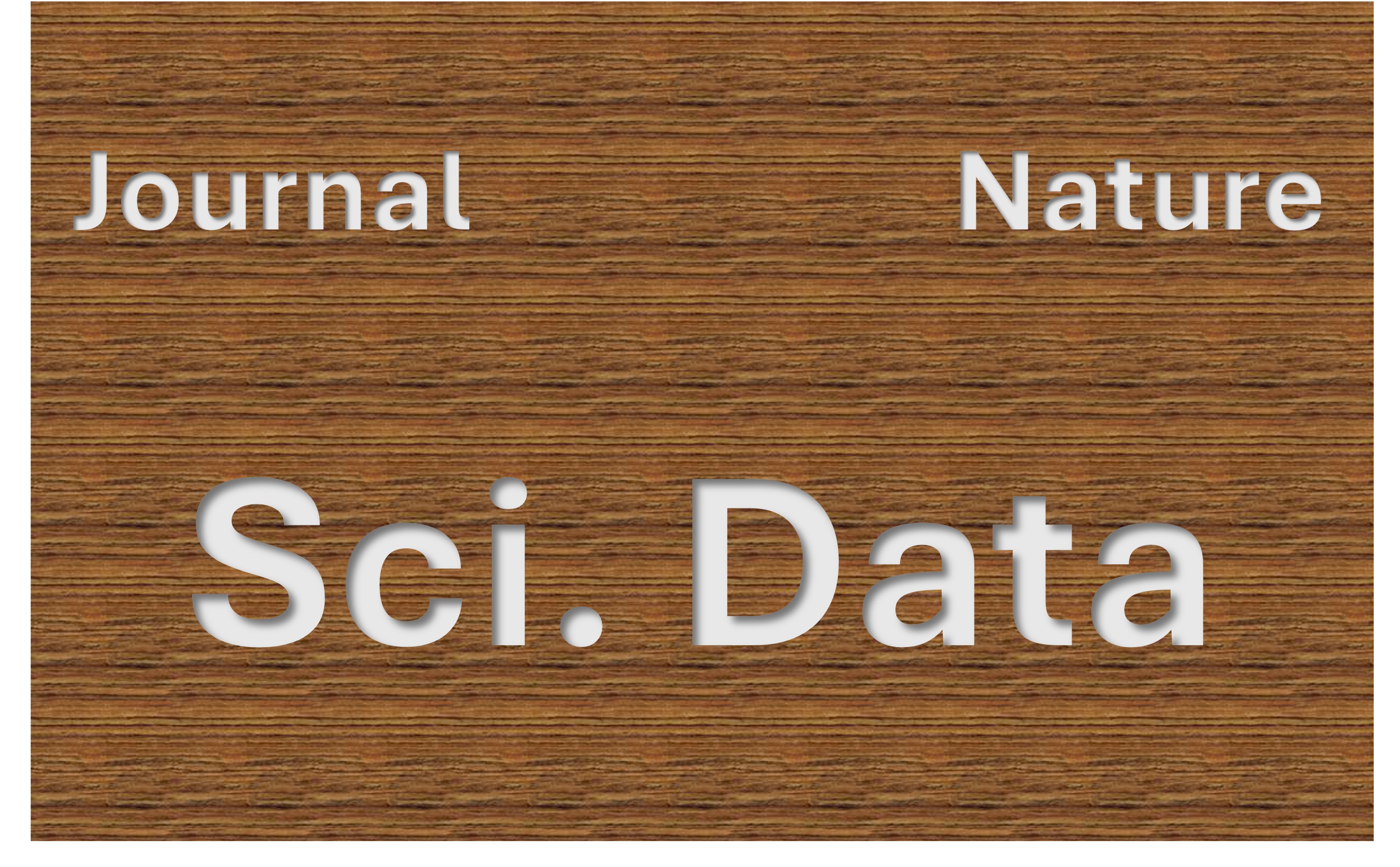 WF-PPG: A Wrist-finger Dual-Channel Dataset for Studying the Impact of Contact Pressure on PPG Morphology