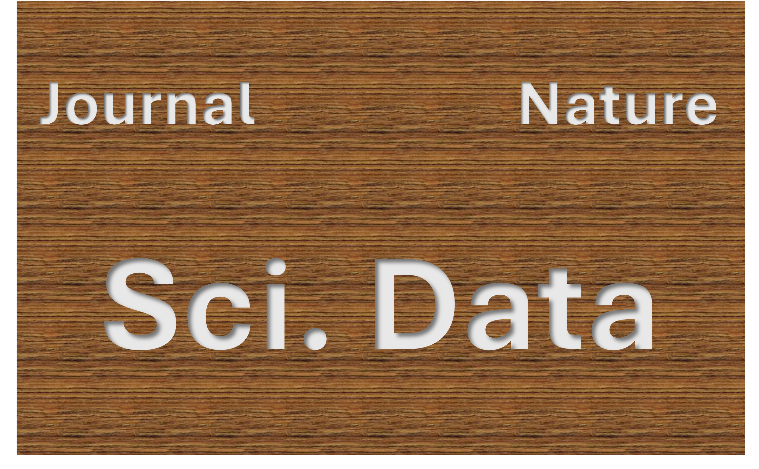 WF-PPG: A Wrist-finger Dual-Channel Dataset for Studying the Impact of Contact Pressure on PPG Morphology
